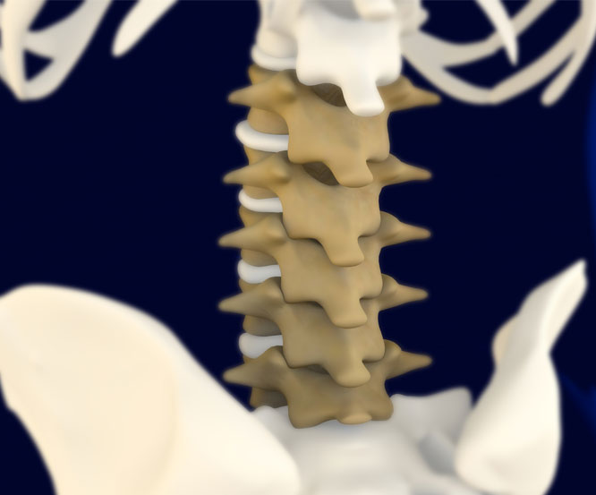 What Is A Lumbar Medial Branch Block
